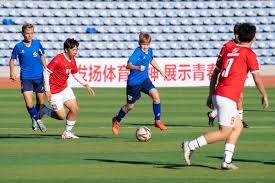 意大利队为何自1986年后终止世界杯参赛纪录